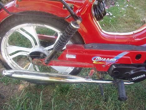 Tomos quadro Solgt :/ - før billede 15