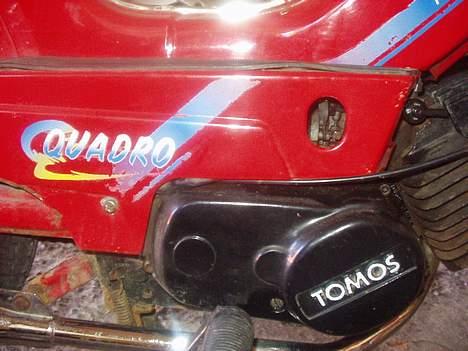 Tomos quadro Solgt :/ - før billede 16