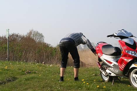 Peugeot Speedfight 2 RallyVictory - Go´ røv  :P billede 4