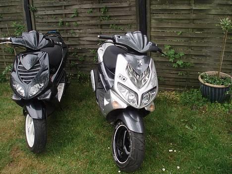 Peugeot Speedfight 2  - Eneste speedfight 2 som har denne grill:), jeg har ihvertfald ikke set noget med lign. Så dette er den enseste, synes virkelig det ser fedt ud. billede 1