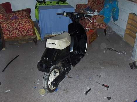 Honda [melody] | SOLGT | billede 9