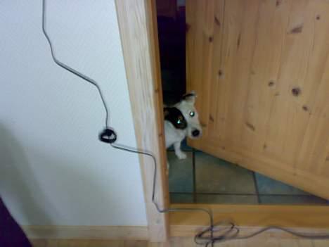 Rieju rs2 matrix solgt billede 9