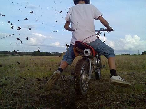 MiniBike fym 110 givet væk billede 7