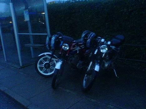 Puch grand prix 3 gear billede 5