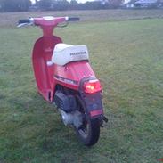 Honda Melody [ Sæby' s ] VÆK