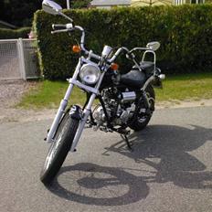 Regal DD50QE-3 - SOLGT