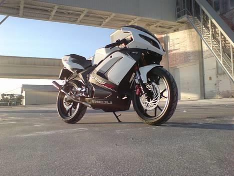 Rieju Matrix SpecialPro  BYTTET billede 1