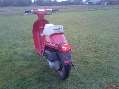 Honda Melody [ Sæby' s ] VÆK billede 4