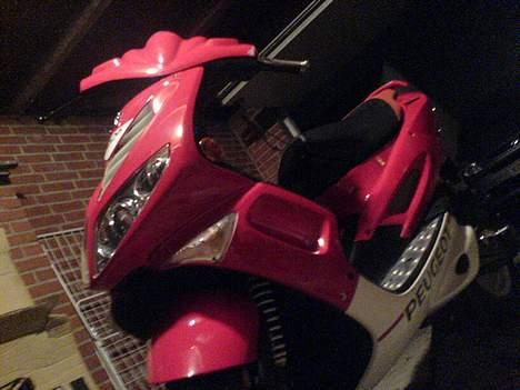 Peugeot 206 WRC SOLGT - Nice Vinkel ! billede 5