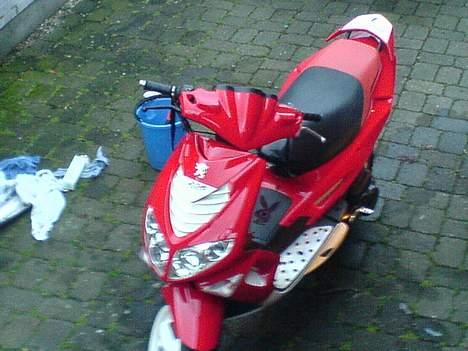 Peugeot 206 WRC SOLGT - Oppe fra ! billede 6