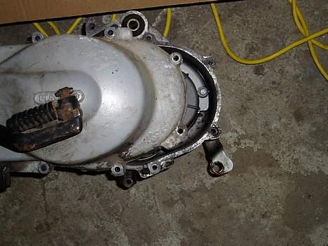 Puch maxi motor soglet billede 19