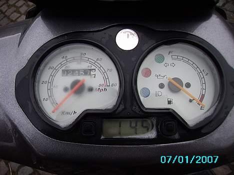 CPI Hussar (BYTTET) billede 6