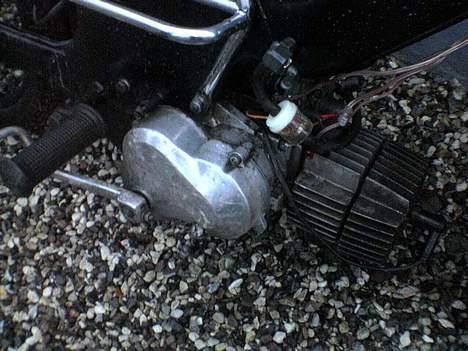 Puch Maxi  billede 4