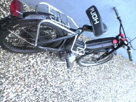 Puch Maxi  billede 5
