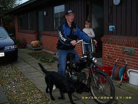 Puch Ms 50 billede 8