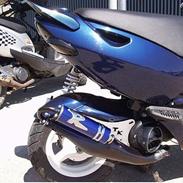 Aprilia sonic