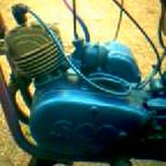 Sco Fandens God ! ! Heh 