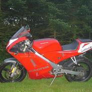 Cagiva mito // TIL SALG//