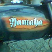 Yamaha 4 g