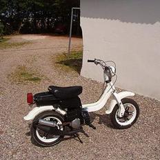 Suzuki fz50