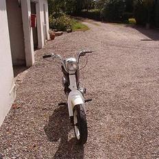 Suzuki fz50