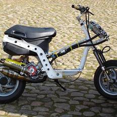 Piaggio Zip Lc (SOLGT)