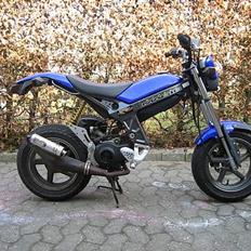 Suzuki Street Magic (Solgt)