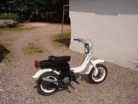 Suzuki fz50 billede 1