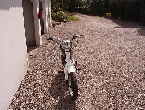 Suzuki fz50 billede 2