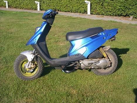 PGO hot 50 team-Ralli billede 2