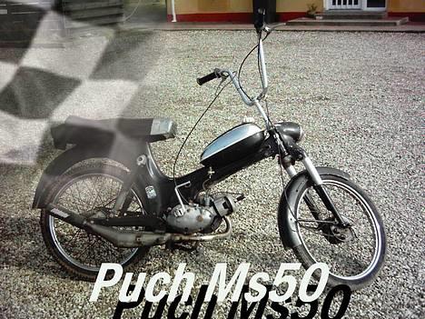 Puch MS50 (Ny billeder) - Puch Racing  <[Veddum Racing Team]> billede 1