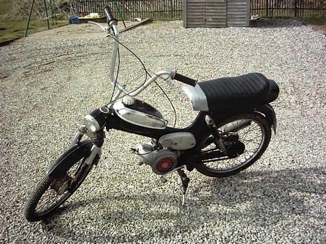 Puch MS50 (Ny billeder) - <[Veddum Racing Team]> billede 2