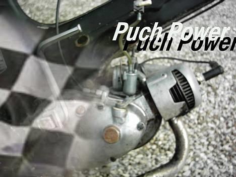 Puch MS50 (Ny billeder) - ja... kom ik her og sig noget billede 3