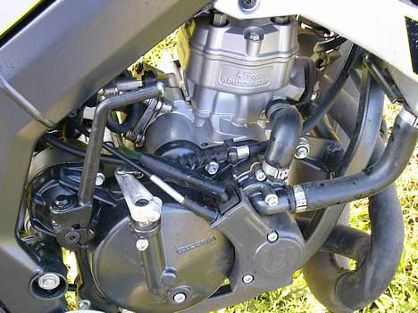 Gilera RCR - Motor billede 4