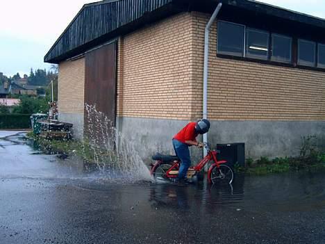 Puch maxi p billede 8