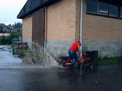 Puch maxi p billede 9
