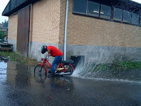 Puch maxi p billede 10