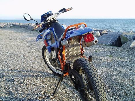 Suzuki RMX -TEAM SVIN- - FED Dork plade som bagskærm! Ros til min makker der har lavet den... billede 3