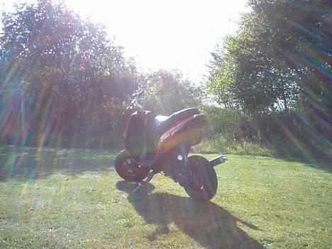Gilera Stalker billede 7