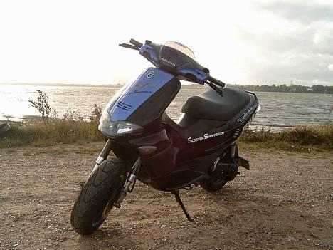 Gilera Runner DD/Sp/Lc billede 2