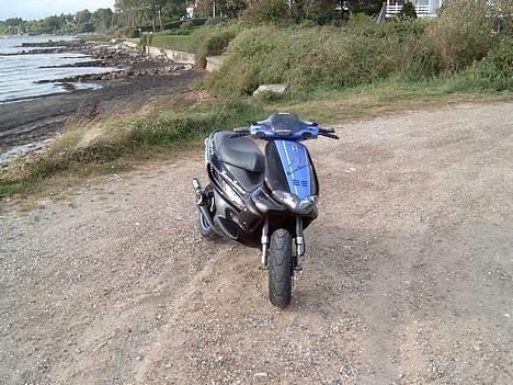 Gilera Runner DD/Sp/Lc billede 7