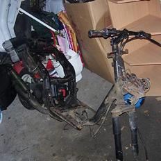 Piaggio [Zipzilla] | SOLGT |