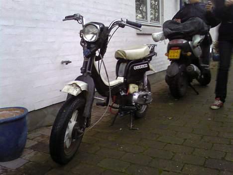 Suzuki fz 50 nye billeder - som den ser ud nu.. kommet nu motor på som kun har kørt 4000km.. ik meget billede 14