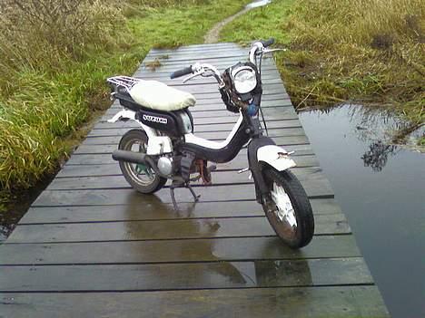 Suzuki fz 50 nye billeder - der står den jo godt var haha... den køre sq godt billede 15