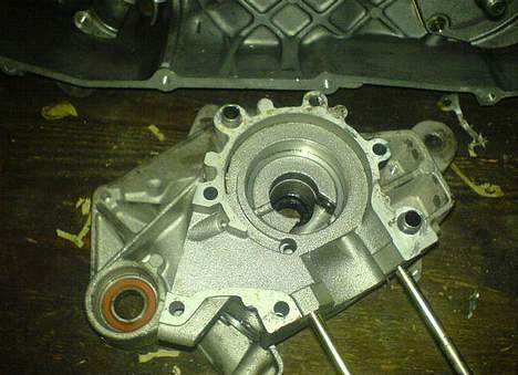 PGO Hot50 til salg 6kg - motor billede 6