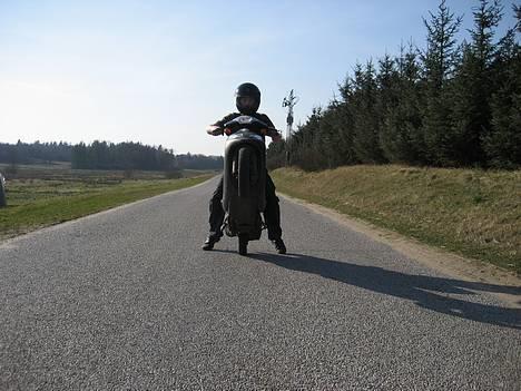 Sym DD50 Solgt billede 4