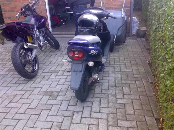 Honda SFX NR 15 (Solgt) billede 1