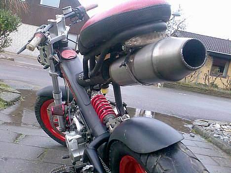 Sachs MadAss [STREET-DOPER] ! - GO RØV! billede 1