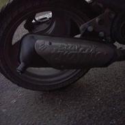 Adly silverfox  solgt. 