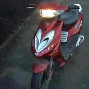 Adly silverfox  solgt. 